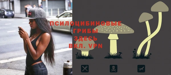 мяу мяу мука Баксан