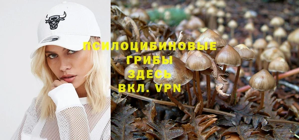 скорость Вяземский