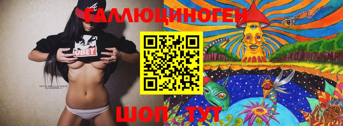 Галлюциногенные грибы Psilocybe  Белая Калитва 